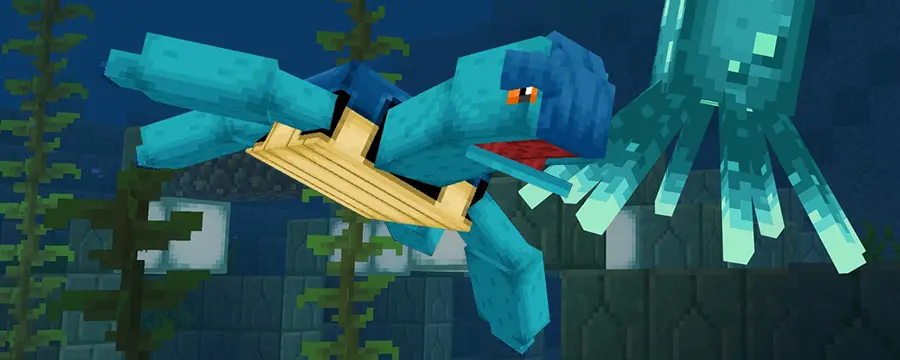 Main Image Background